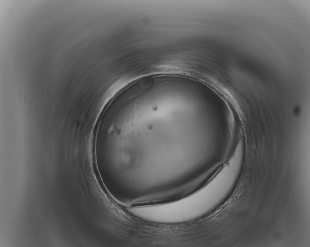 X0000095961291200801181436