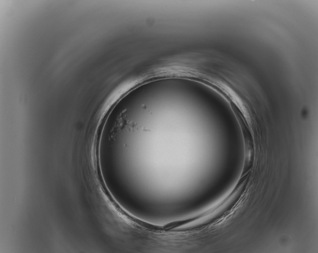 X0000095961293200801181436