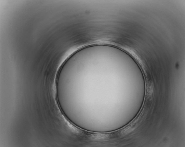 X0000095961294200801181436