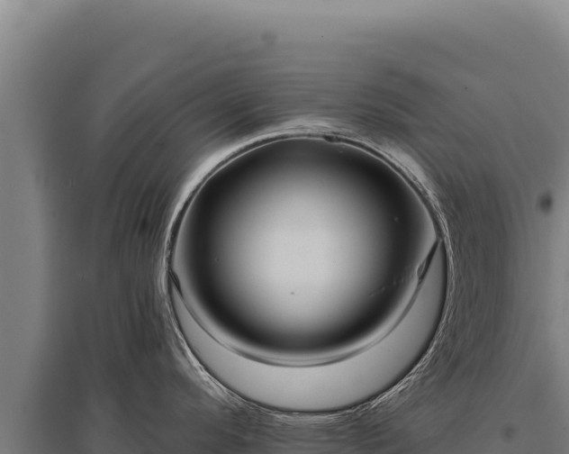 X0000095961296200801181436