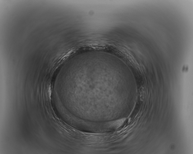 X0000095961298200801181435