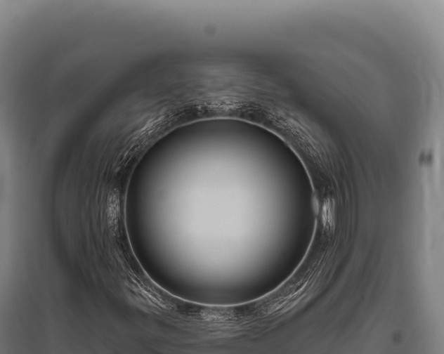 X0000095961299200801181435