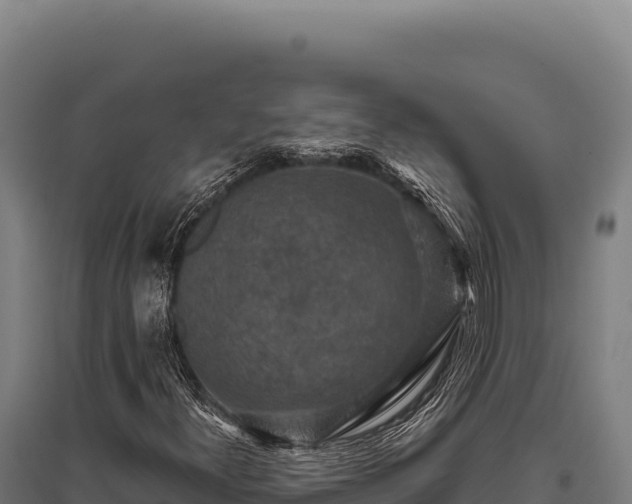 X0000095961300200801181435