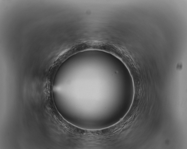 X0000095961301200801181435
