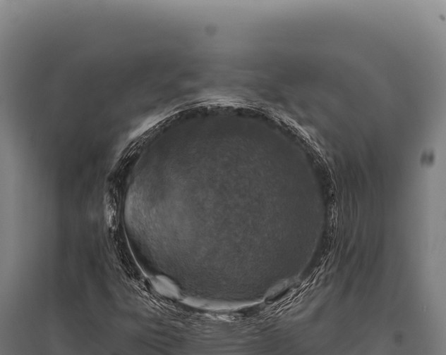 X0000095961303200801181435