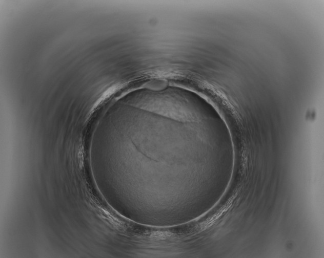 X0000095961306200801181435