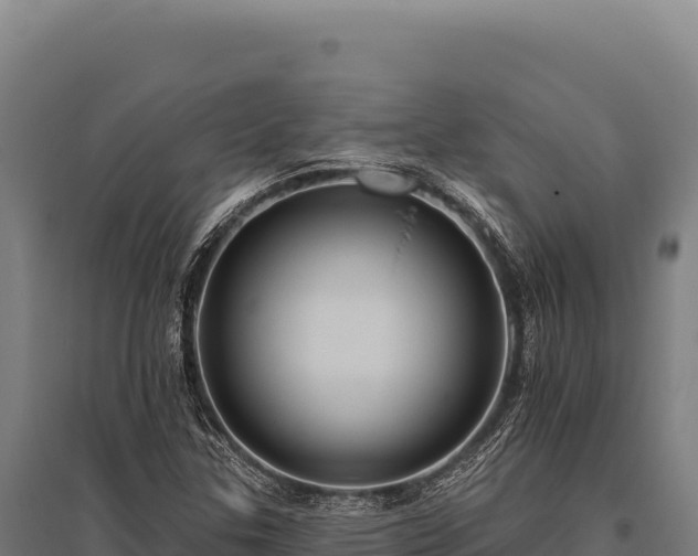 X0000095961307200801181435