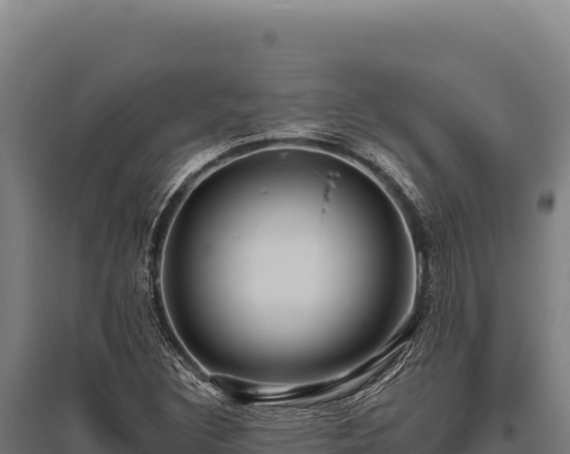 X0000095961308200801181435