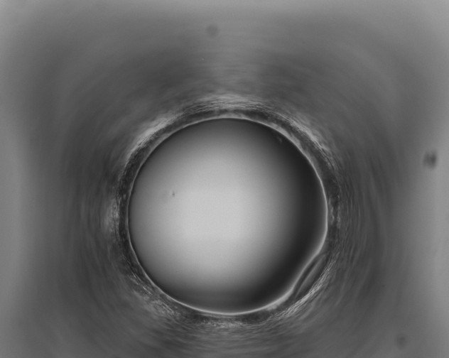 X0000095961309200801181435