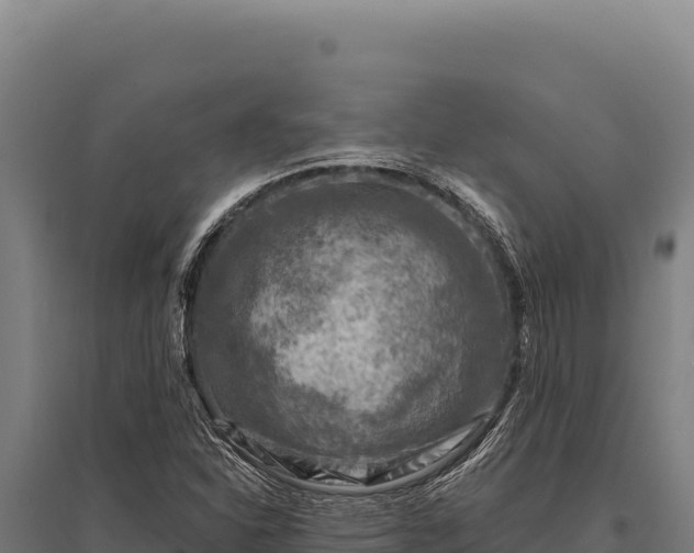 X0000095961310200801181435
