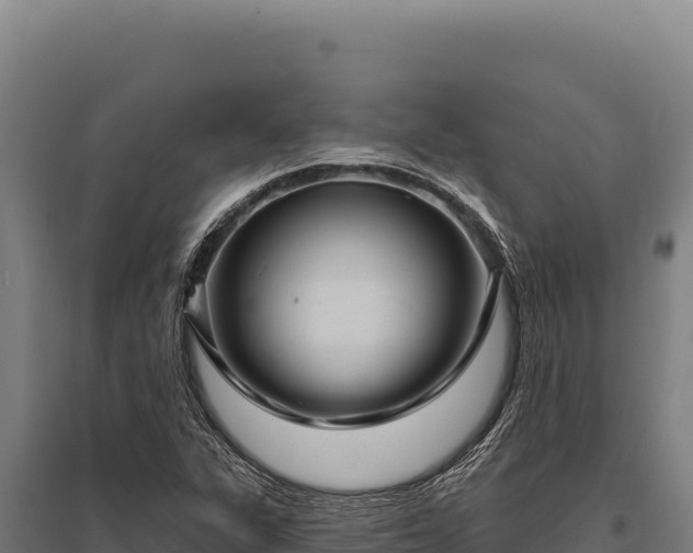 X0000095961311200801181435