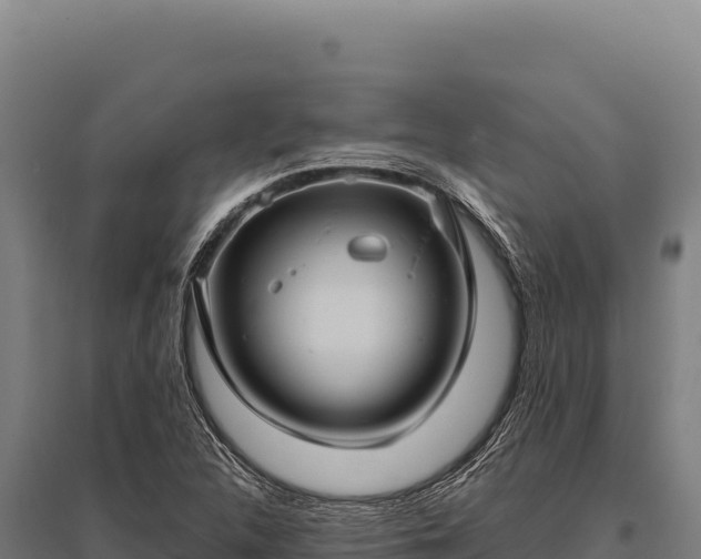 X0000095961312200801181435