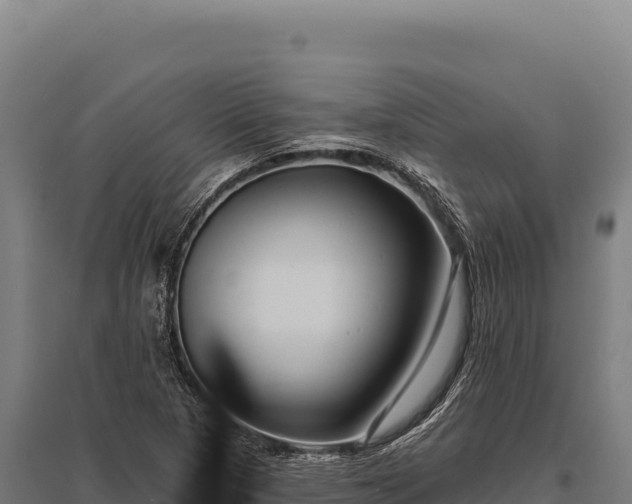 X0000095961313200801181435