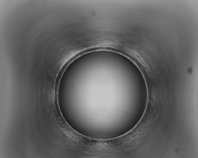 X0000095961316200801181435