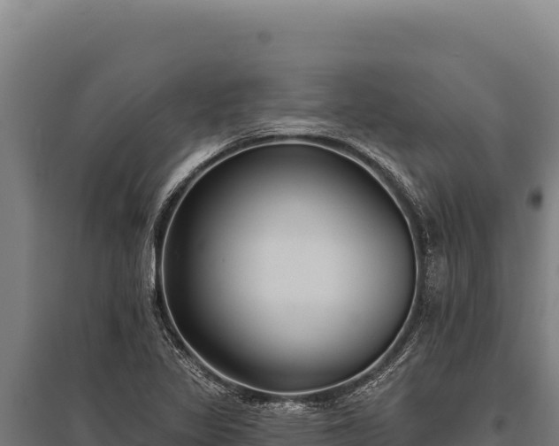 X0000095961317200801181435