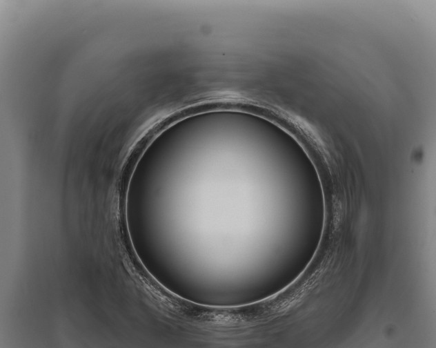 X0000095961318200801181435