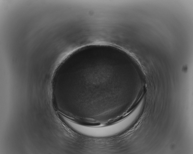 X0000095961319200801181435