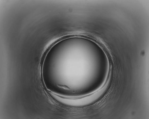 X0000095961320200801181435
