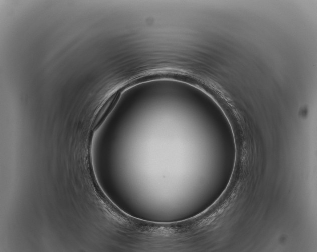X0000095961321200801181435