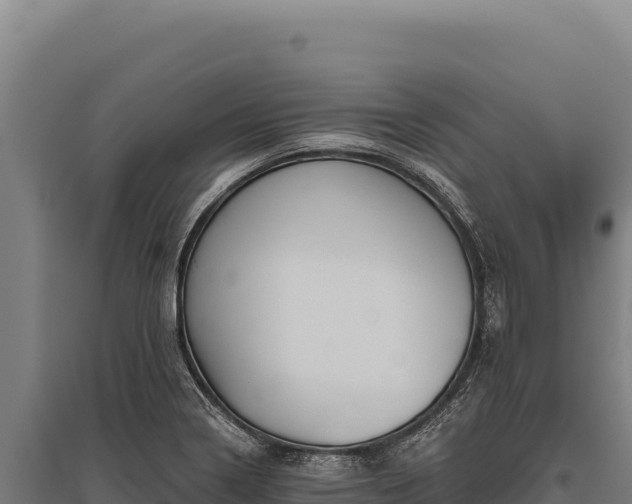 X0000095961322200801181436