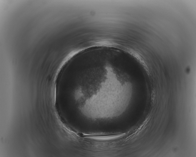 X0000095961323200801181436