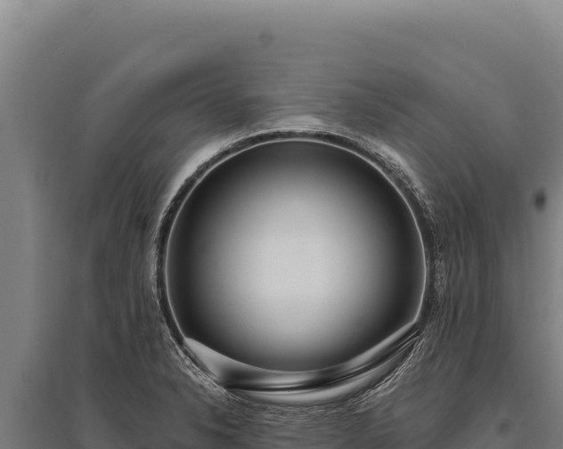 X0000095961326200801181436
