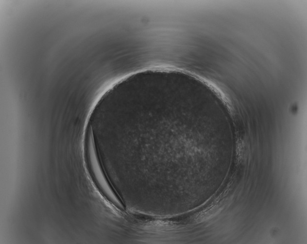 X0000095961327200801181436