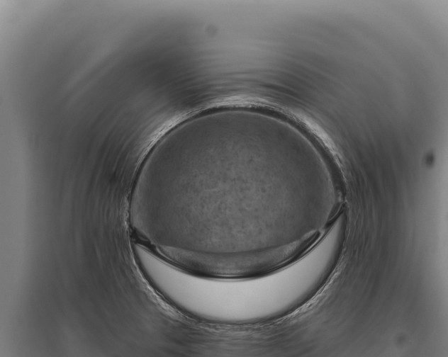 X0000095961329200801181436