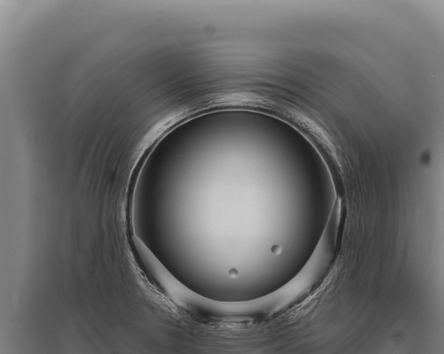 X0000095961330200801181436