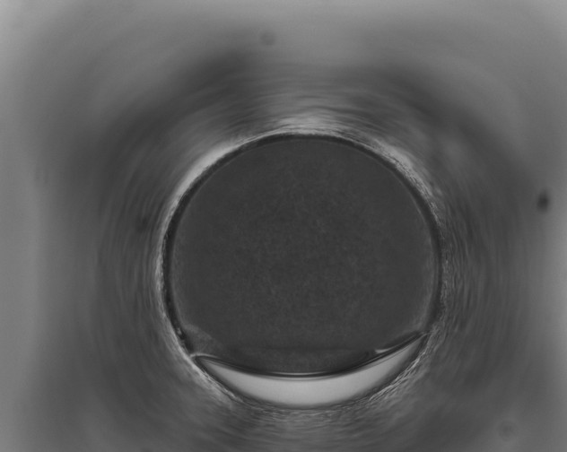 X0000095961331200801181436