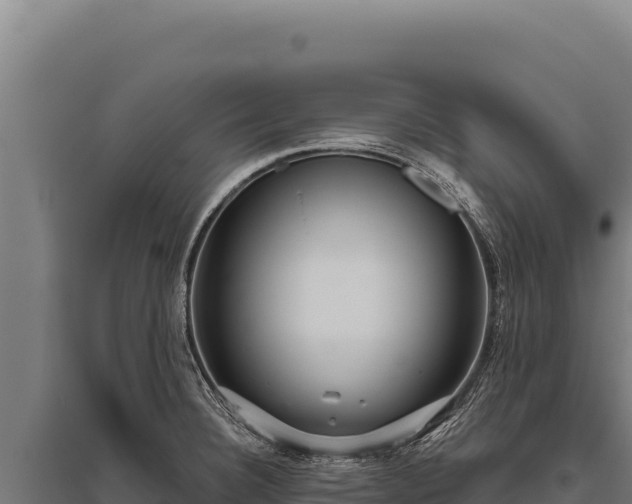 X0000095961332200801181436