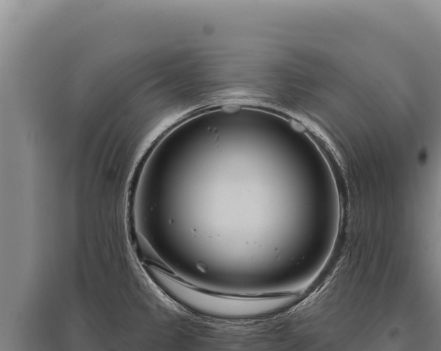 X0000095961333200801181436
