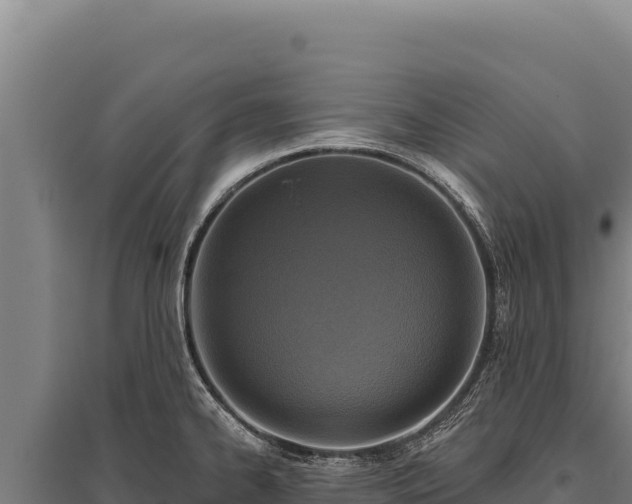 X0000095961334200801181436