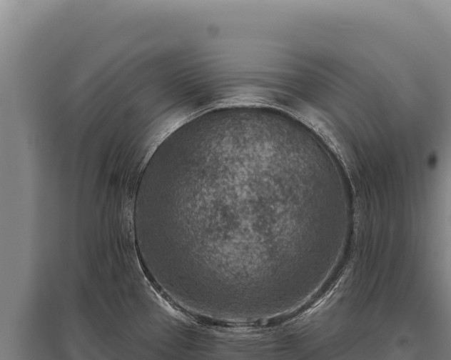 X0000095961337200801181436