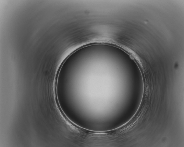 X0000095961343200801181436