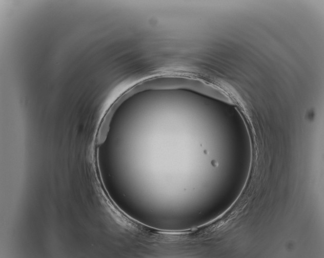 X0000095961344200801181436