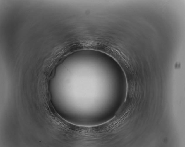 X0000095961345200801181435