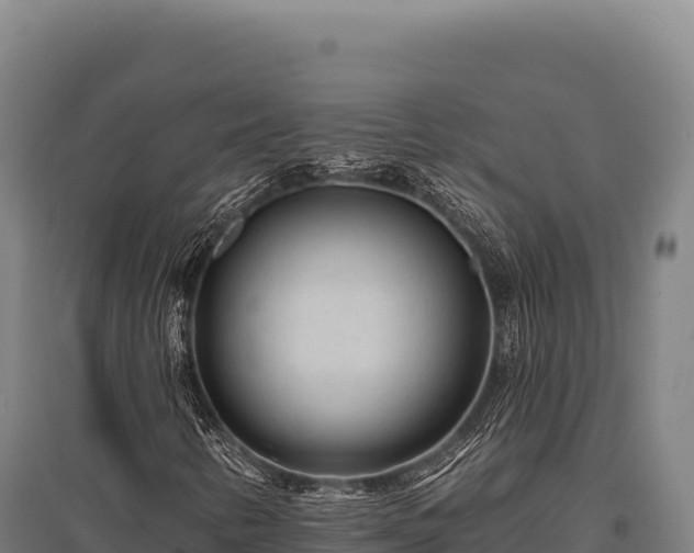 X0000095961346200801181435