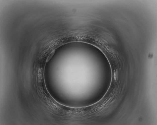 X0000095961347200801181435
