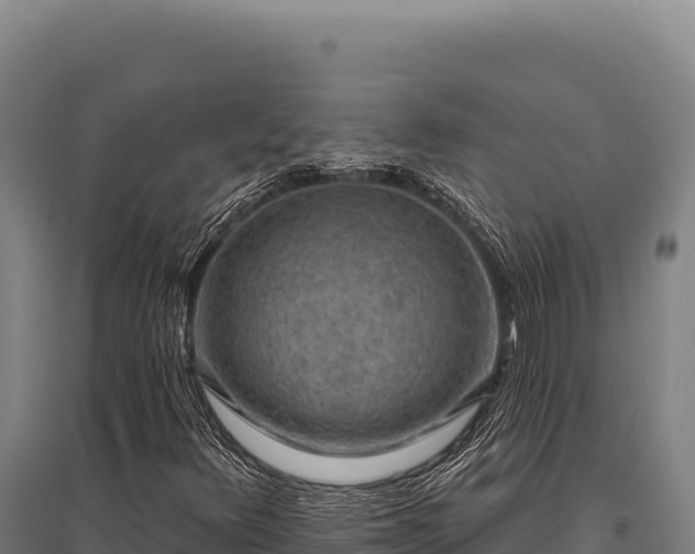 X0000095961348200801181435