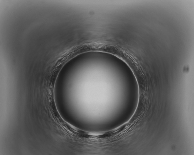 X0000095961349200801181435