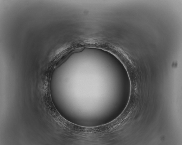 X0000095961350200801181435