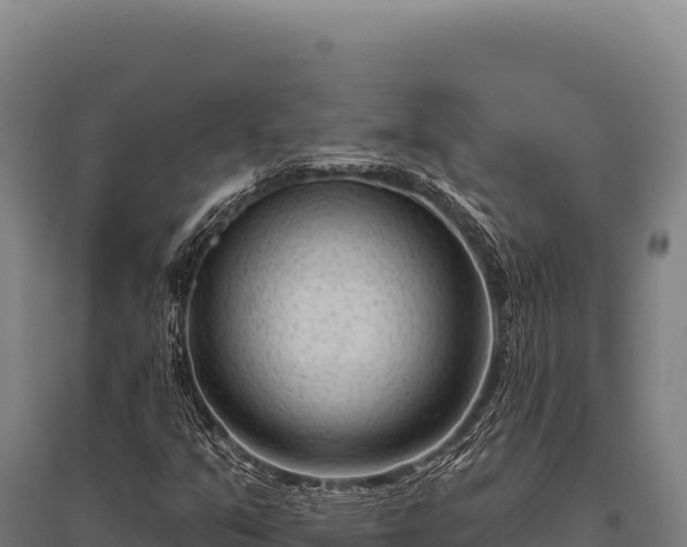 X0000095961351200801181435