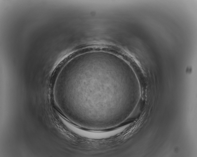 X0000095961352200801181435