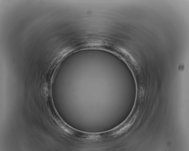 X0000095961353200801181435