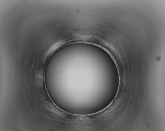 X0000095961354200801181435