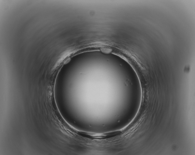 X0000095961355200801181435