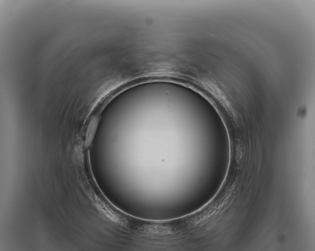 X0000095961356200801181435