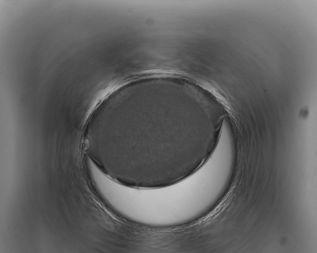 X0000095961357200801181435