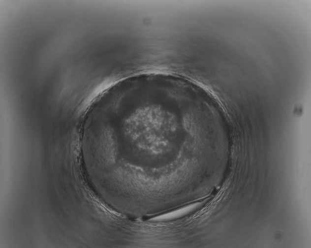 X0000095961359200801181435